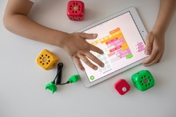 Farley and Kempe Center Researchers Publish Child Safety Online Policy Brief